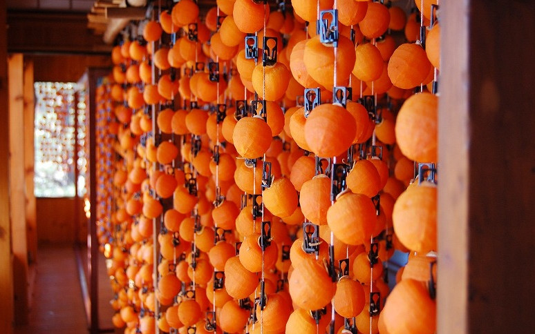 市田柿発祥の里　南信州 たかもりまち(高森町)