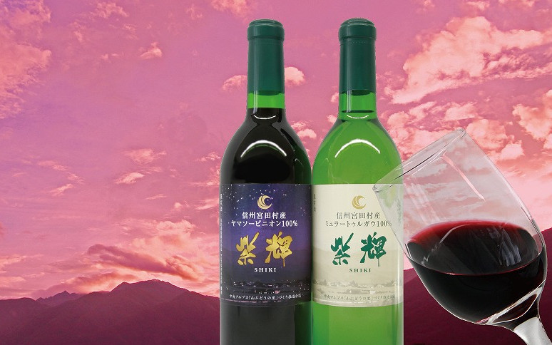 住みたい村ランキング1位のコンパクトヴィレッジ(宮田村)