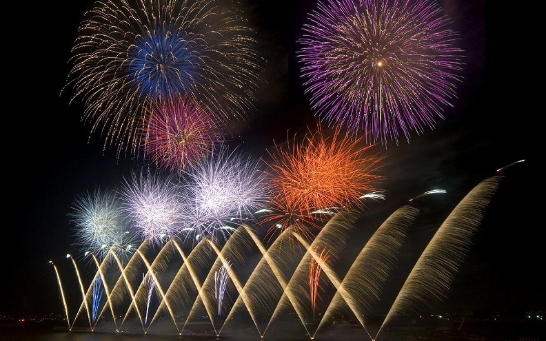 夏の夜空に大きく輝く光の華は蒲郡の風物詩(蒲郡市)