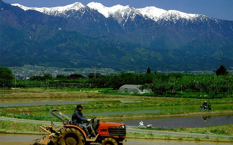 松川町から中央アルプスを望む（上片桐）(松川町)