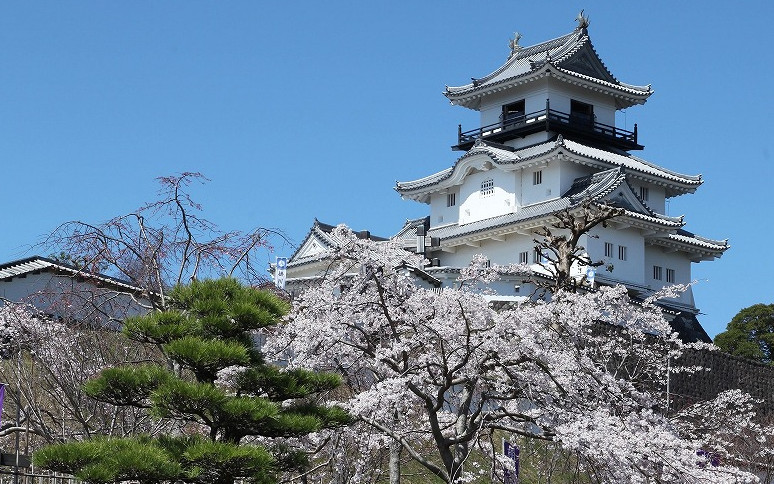 春の掛川城天守閣(掛川市)