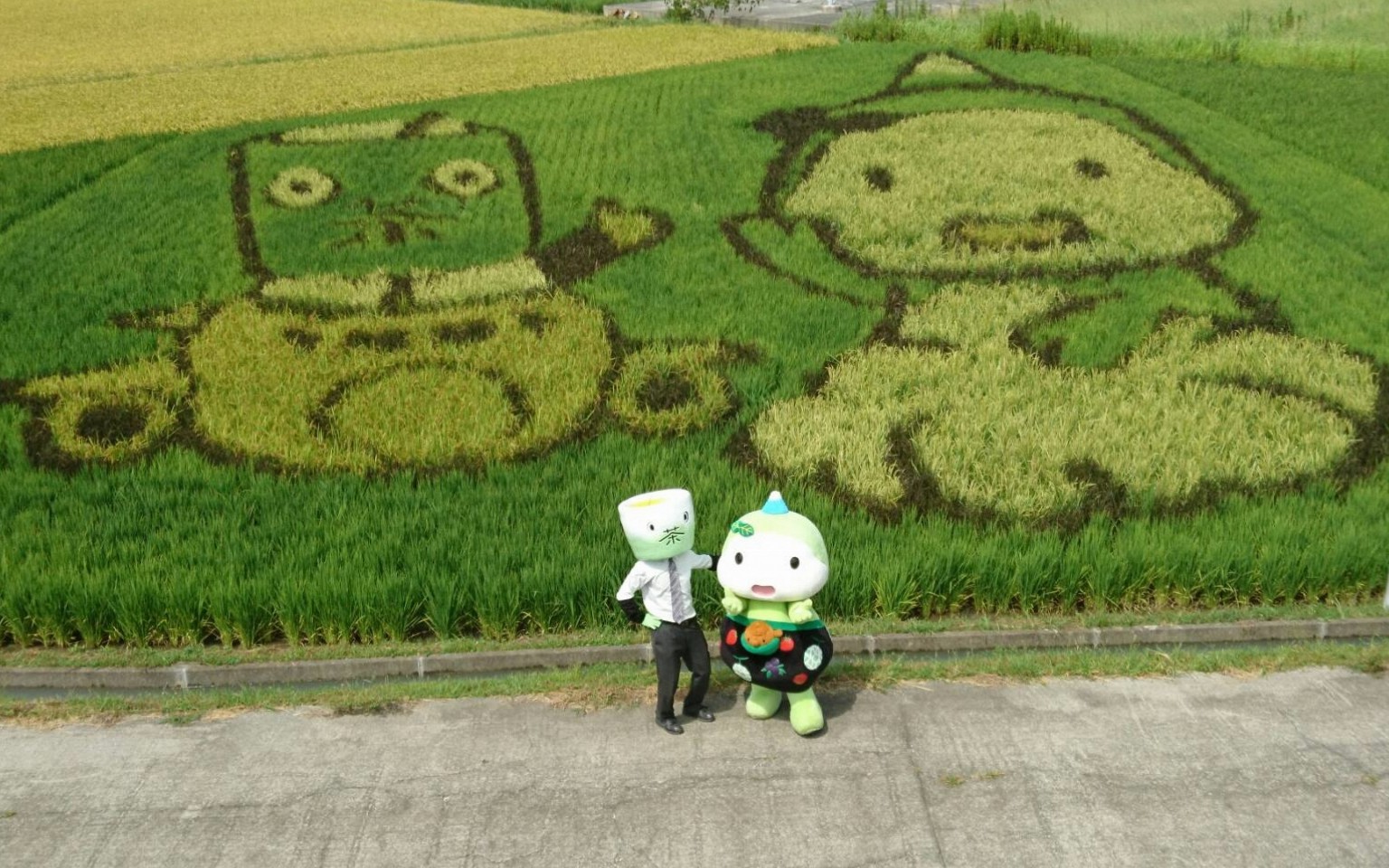 田んぼアート菊川（菊川市）